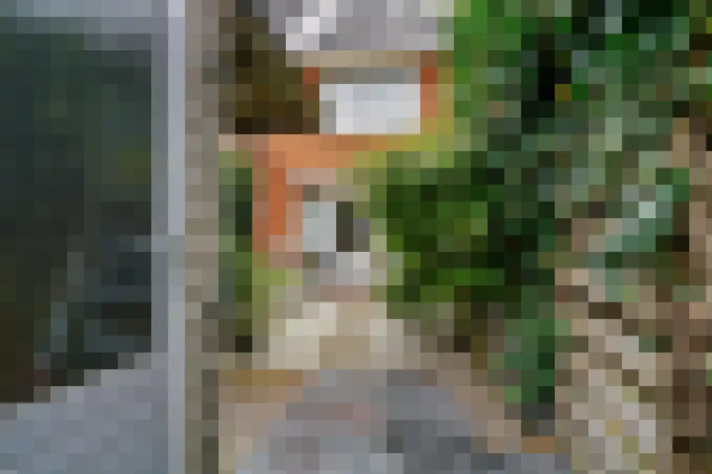 Kamvaren 15 Limmen thumbnail 34