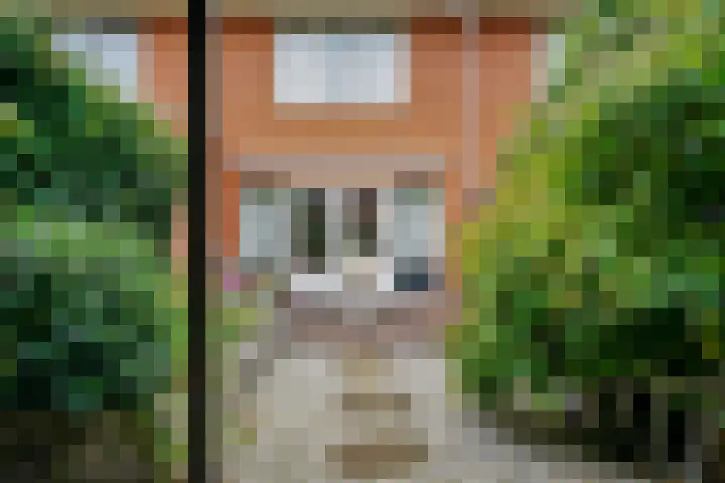 Kamvaren 15 Limmen thumbnail 4