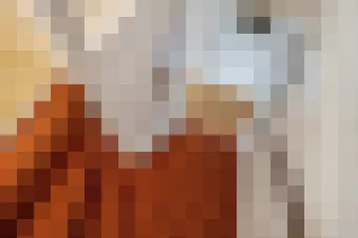 Kamvaren 18 Den Haag thumbnail 10