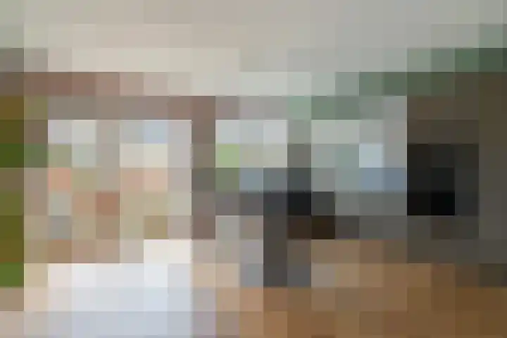 Kamvaren 18 Den Haag thumbnail 4