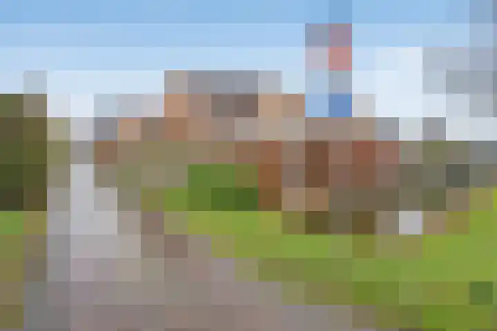 Kamvaren 18 Den Haag thumbnail 5
