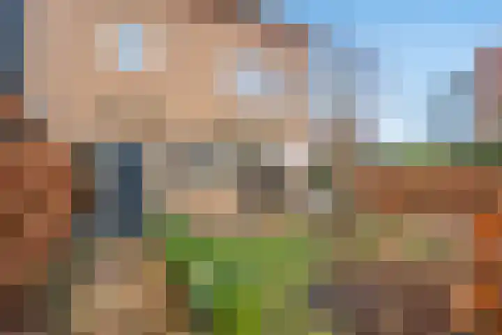 Kamvaren 18 Den Haag thumbnail 6