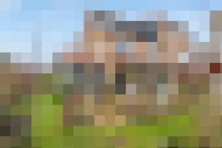 Kamvaren 18 Den Haag thumbnail 7