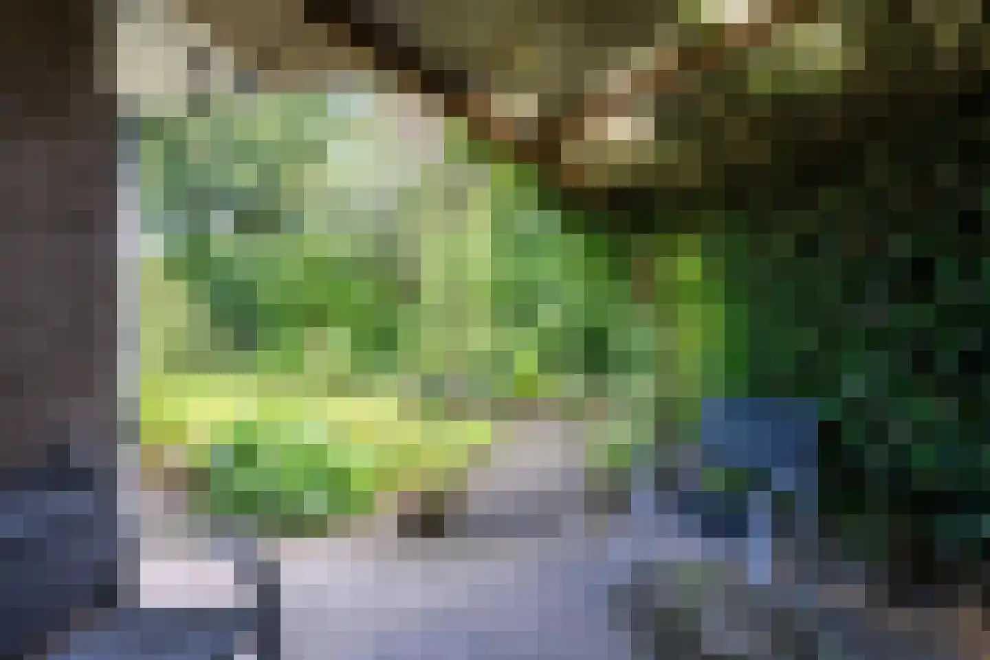 Kamvaren 8 Purmerend thumbnail 5