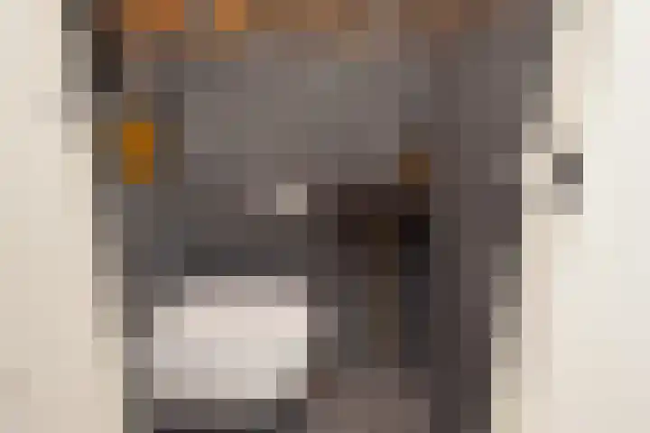 Kamvaren 9 Den Haag thumbnail 10