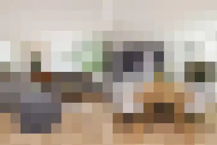 Kamvaren 9 Den Haag thumbnail 13