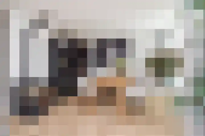Kamvaren 9 Den Haag thumbnail 14