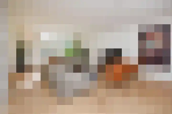 Kamvaren 9 Den Haag thumbnail 15