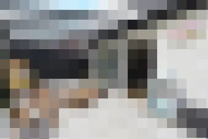 Kamvaren 9 Den Haag thumbnail 17
