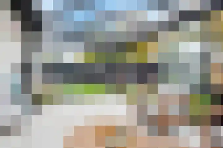 Kamvaren 9 Den Haag thumbnail 18