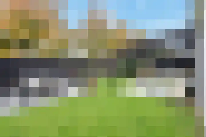Kamvaren 9 Den Haag thumbnail 19