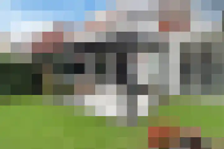 Kamvaren 9 Den Haag thumbnail 21