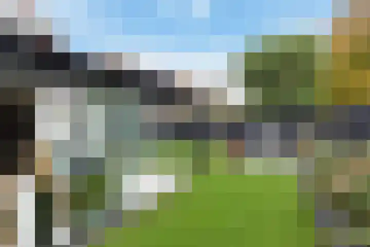 Kamvaren 9 Den Haag thumbnail 22