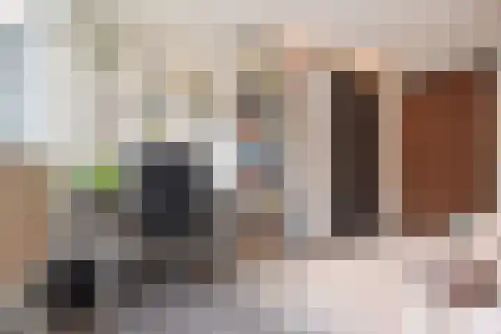 Kamvaren 9 Den Haag thumbnail 29
