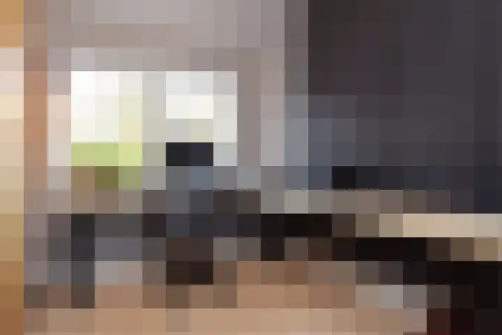 Kamvaren 9 Den Haag thumbnail 33