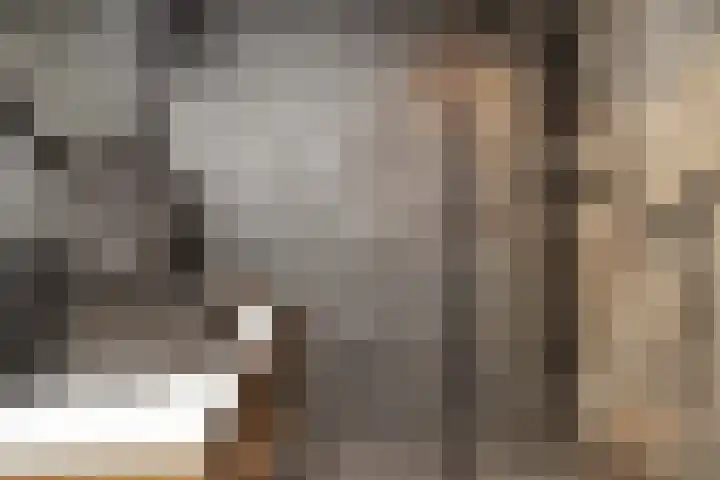 Kamvaren 9 Den Haag thumbnail 37