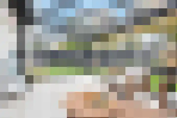 Kamvaren 9 Den Haag thumbnail 4