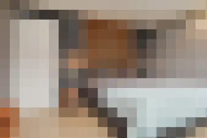 Kamvaren 9 Den Haag thumbnail 41