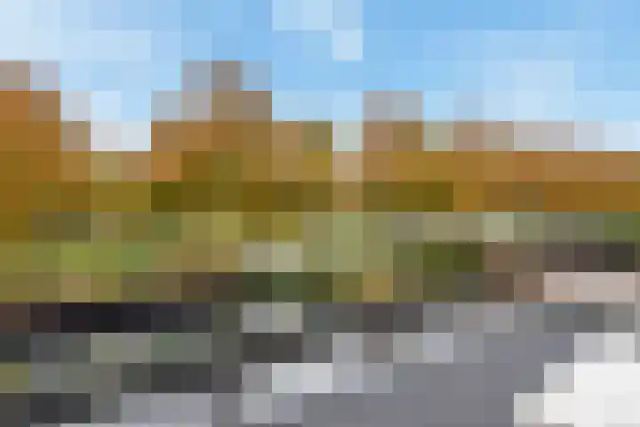 Kamvaren 9 Den Haag thumbnail 48