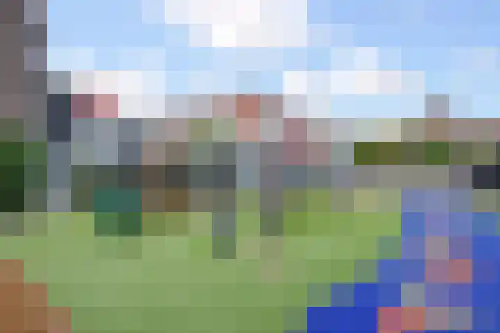 Kamvaren 9 Den Haag thumbnail 50