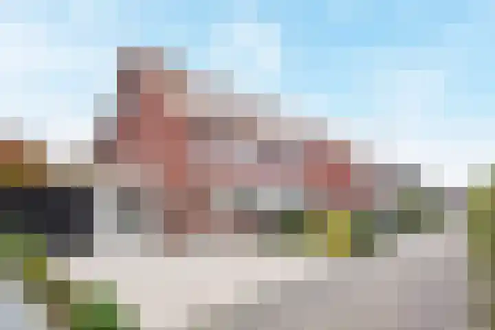 Kamvaren 9 Den Haag thumbnail 6