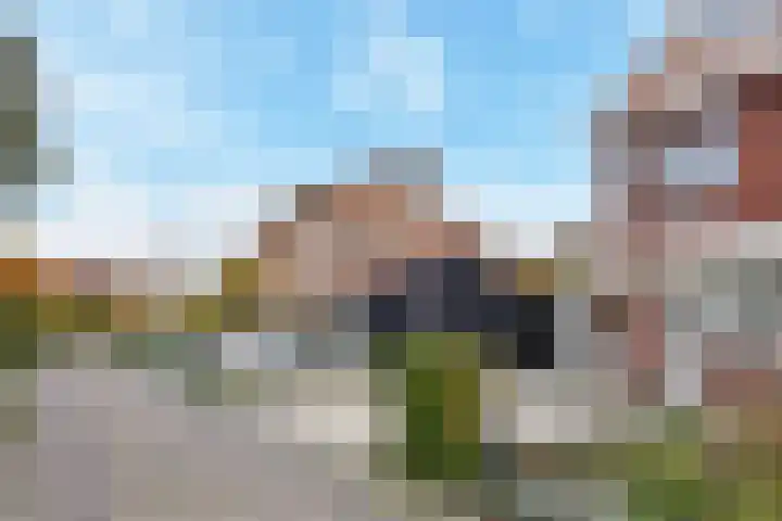 Kamvaren 9 Den Haag thumbnail 7