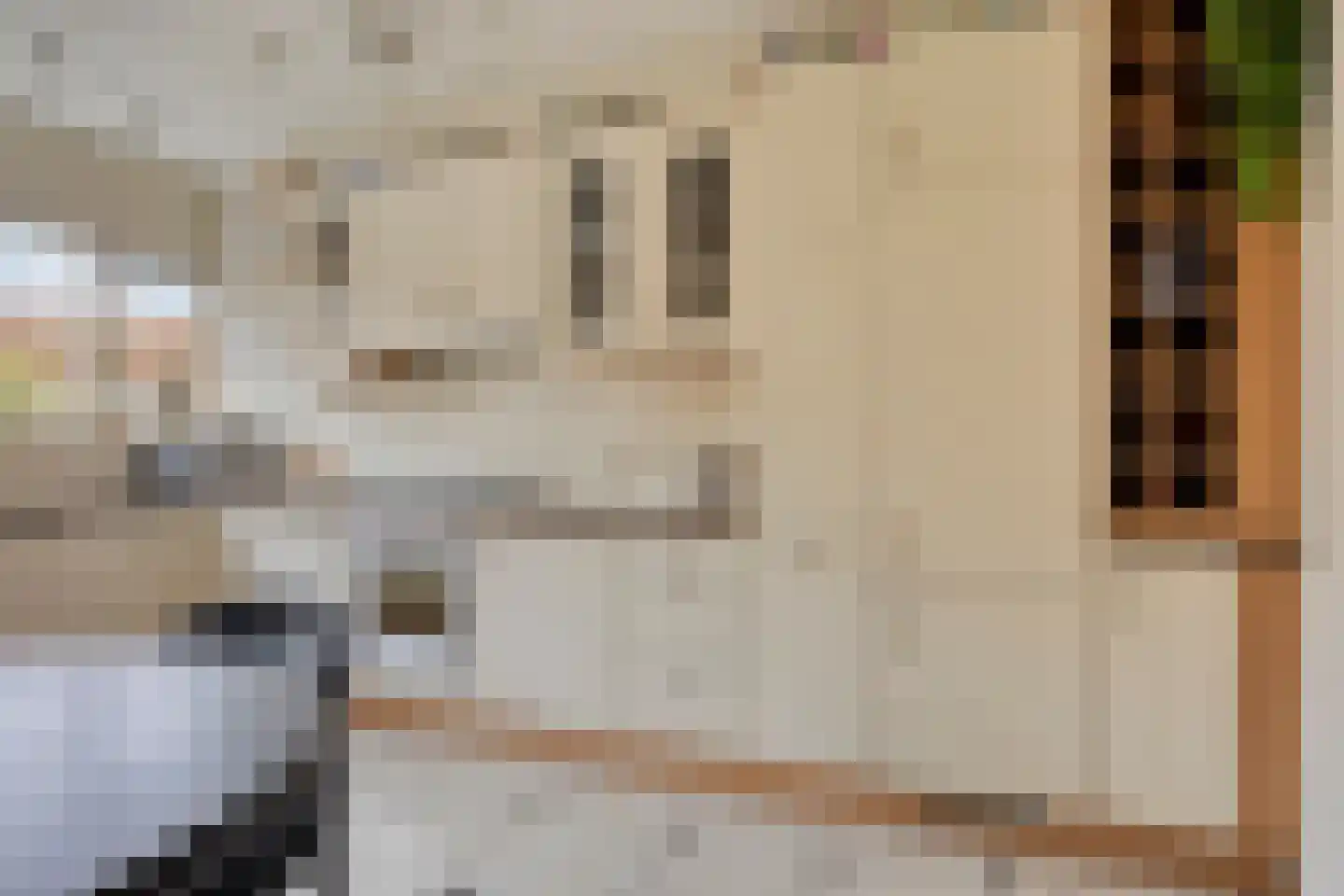 Kamvaren 9 Purmerend thumbnail 17