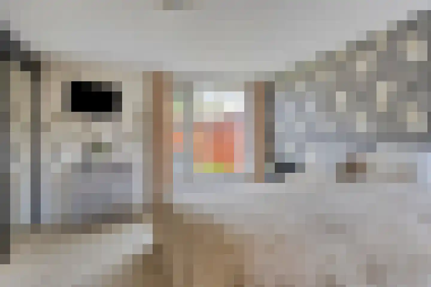 Kamvaren 9 Purmerend thumbnail 21