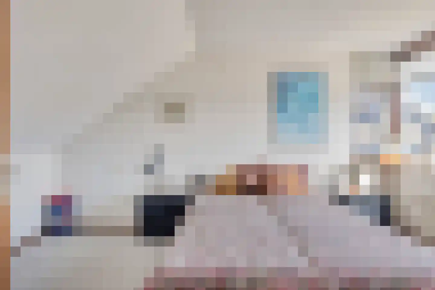 Kamvaren 9 Purmerend thumbnail 25