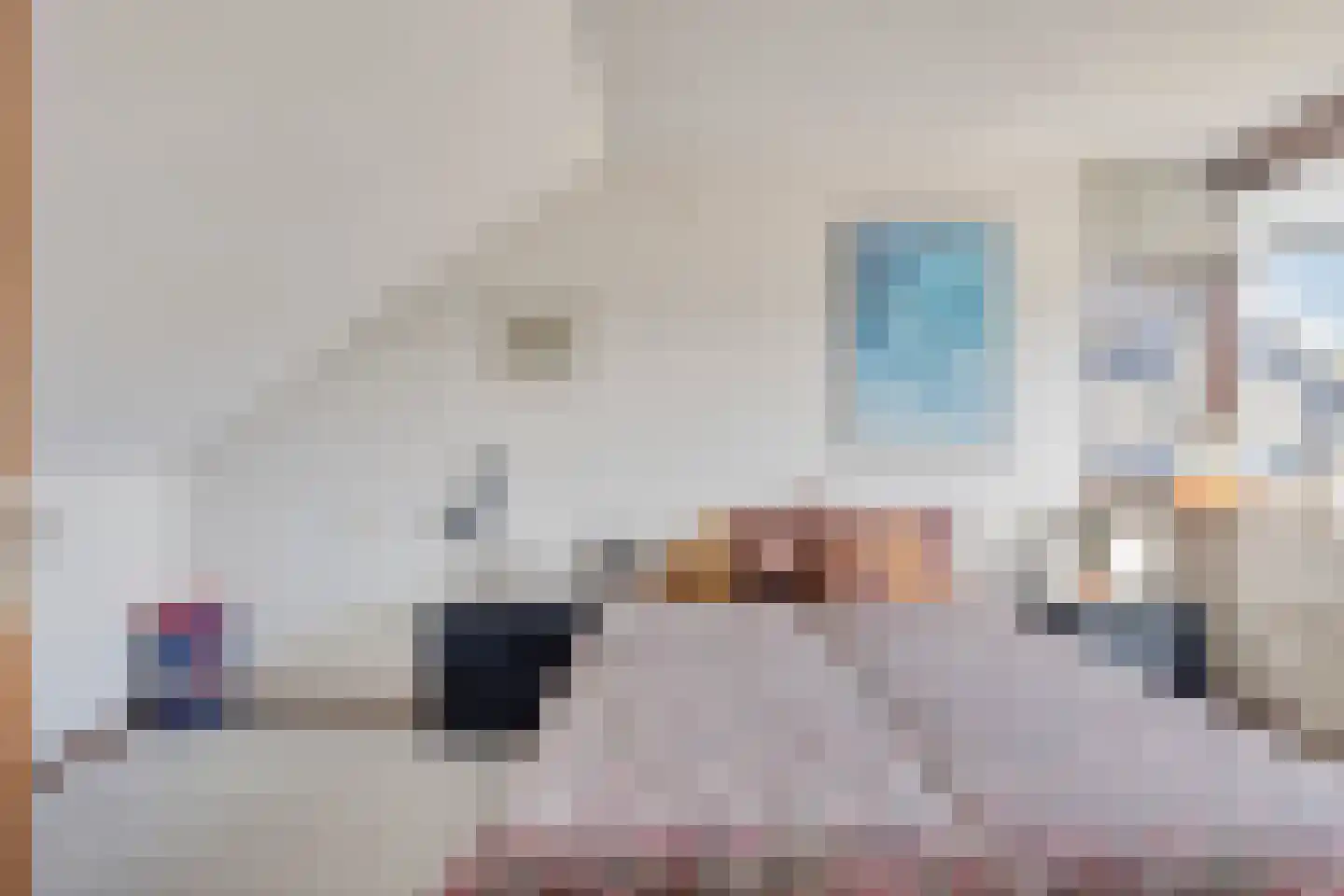 Kamvaren 9 Purmerend thumbnail 26