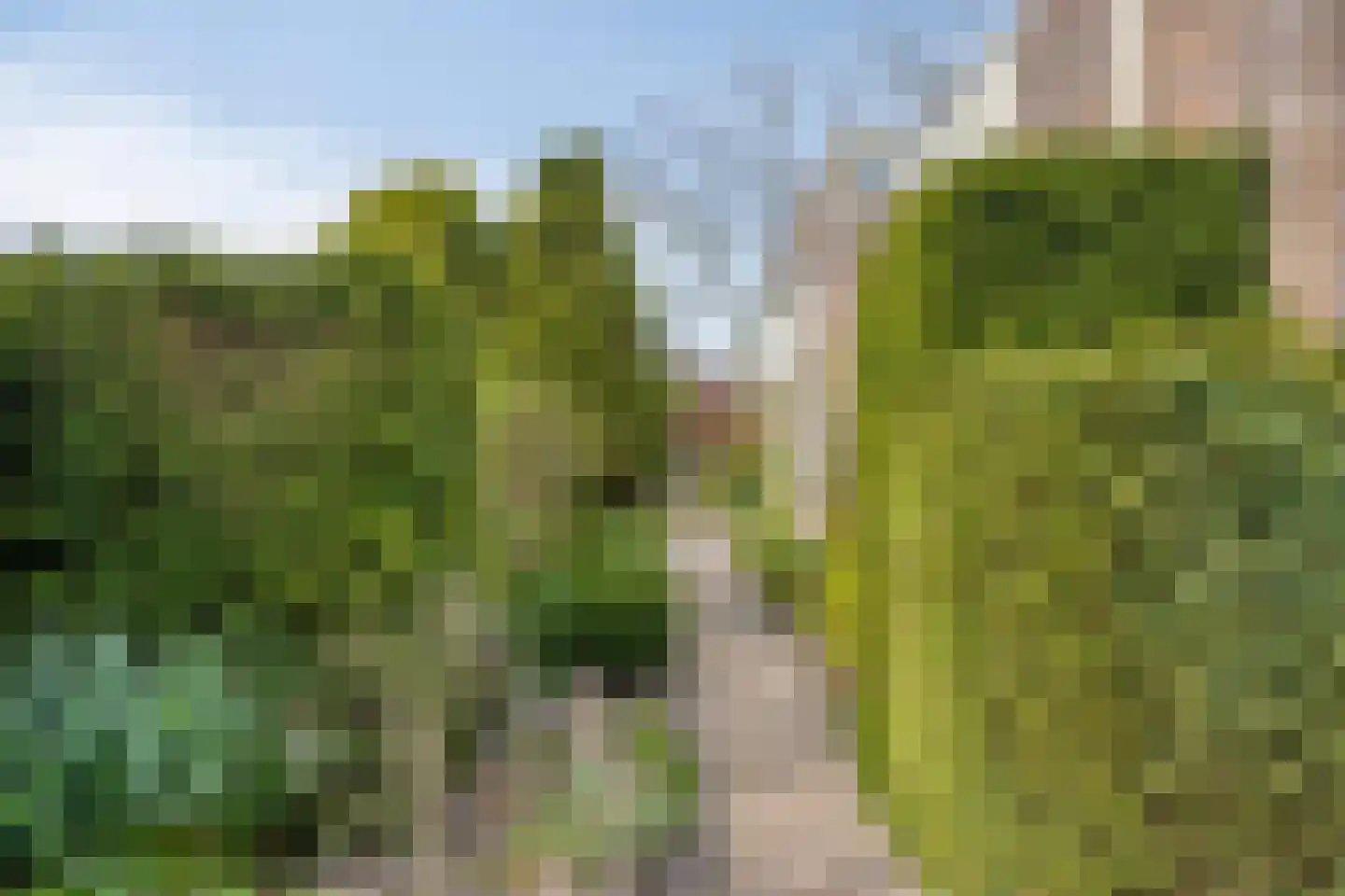 Kamvaren 9 Purmerend thumbnail 32