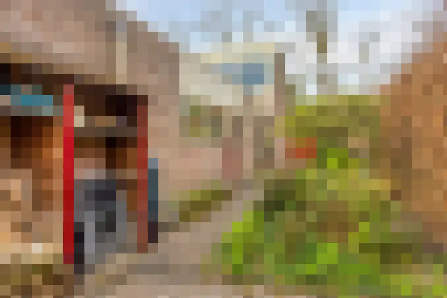 Kamvaren 9 Purmerend thumbnail 35