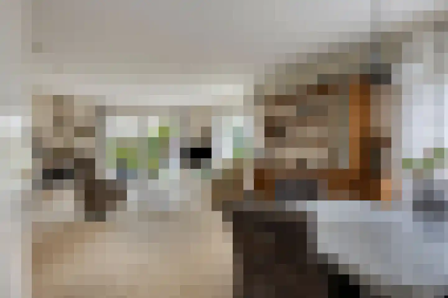 Kamvaren 9 Purmerend thumbnail 4