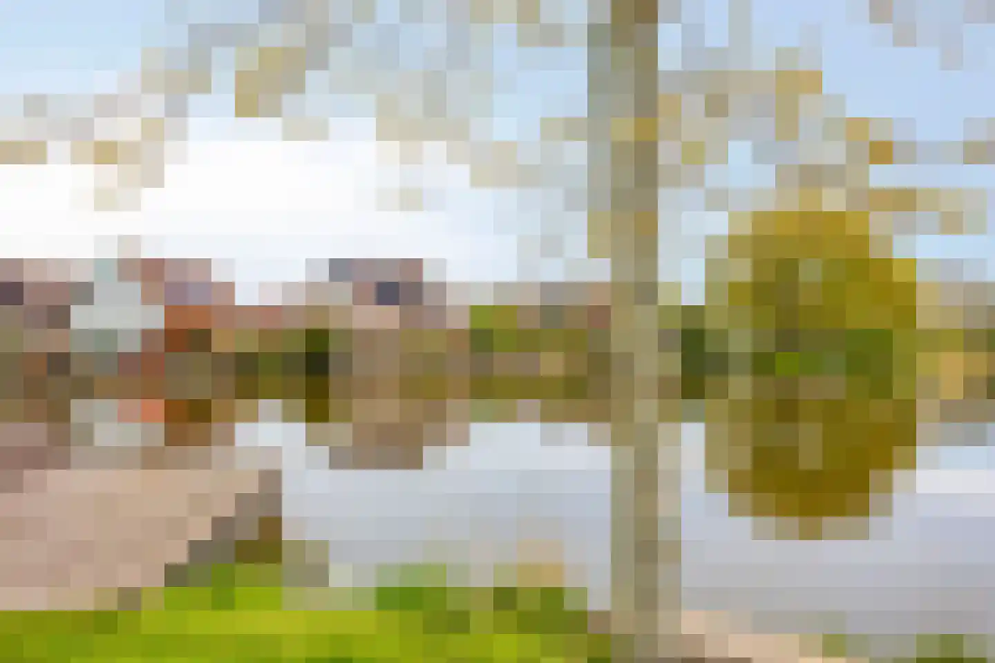 Kamvaren 9 Purmerend thumbnail 42