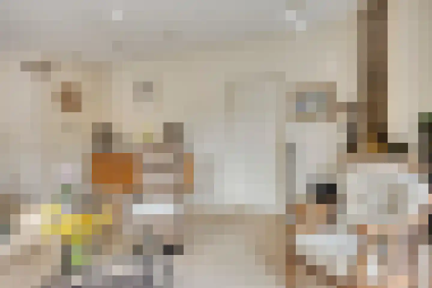 Kamvaren 9 Purmerend thumbnail 7