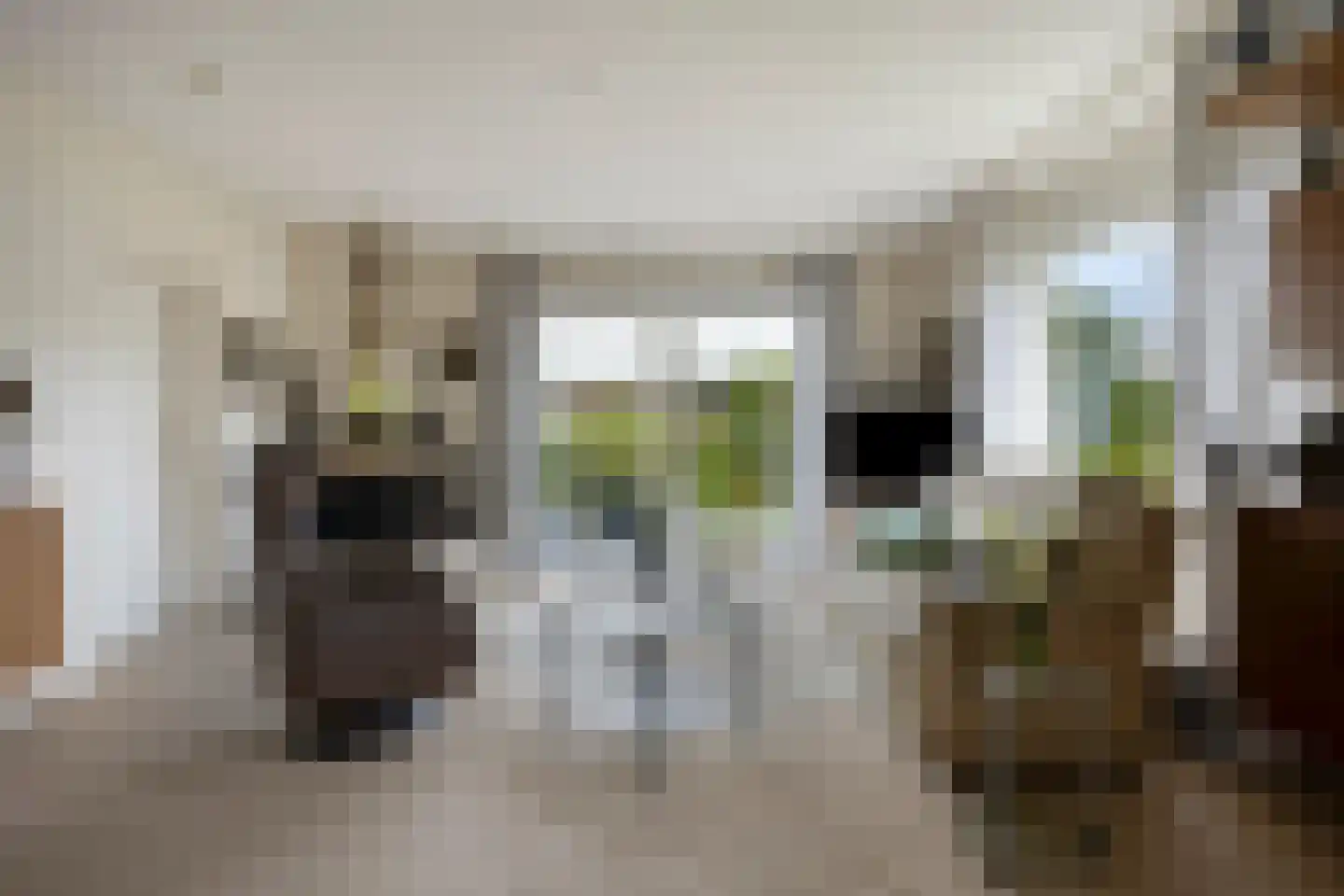 Kamvaren 9 Purmerend thumbnail 8