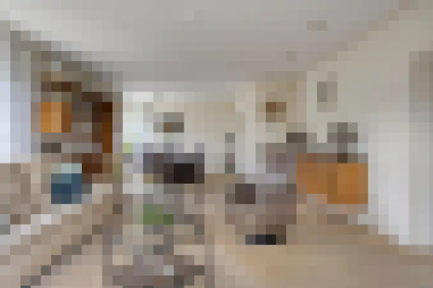 Kamvaren 9 Purmerend thumbnail 9