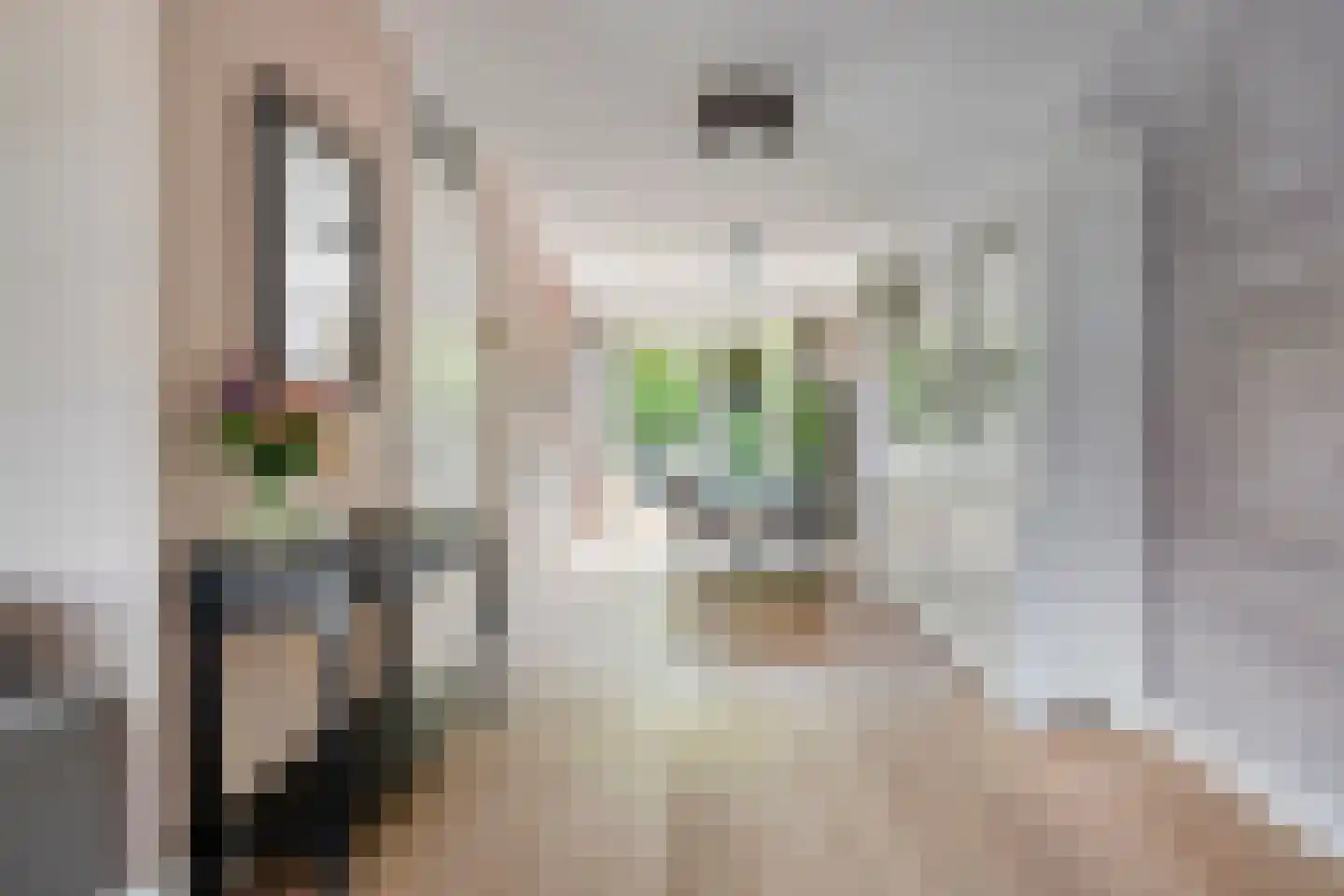 Kamwiel 16 Moerkapelle thumbnail 12