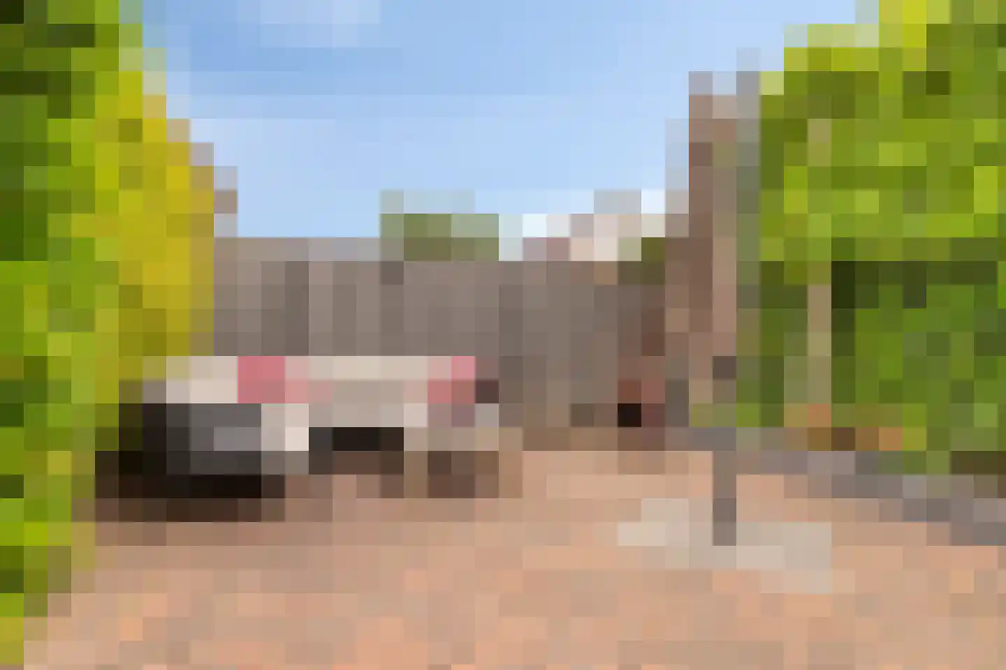 Kamwiel 16 Moerkapelle thumbnail 41