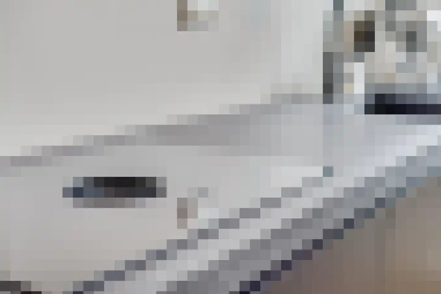 Kan-Kan 3 Haarsteeg thumbnail 10