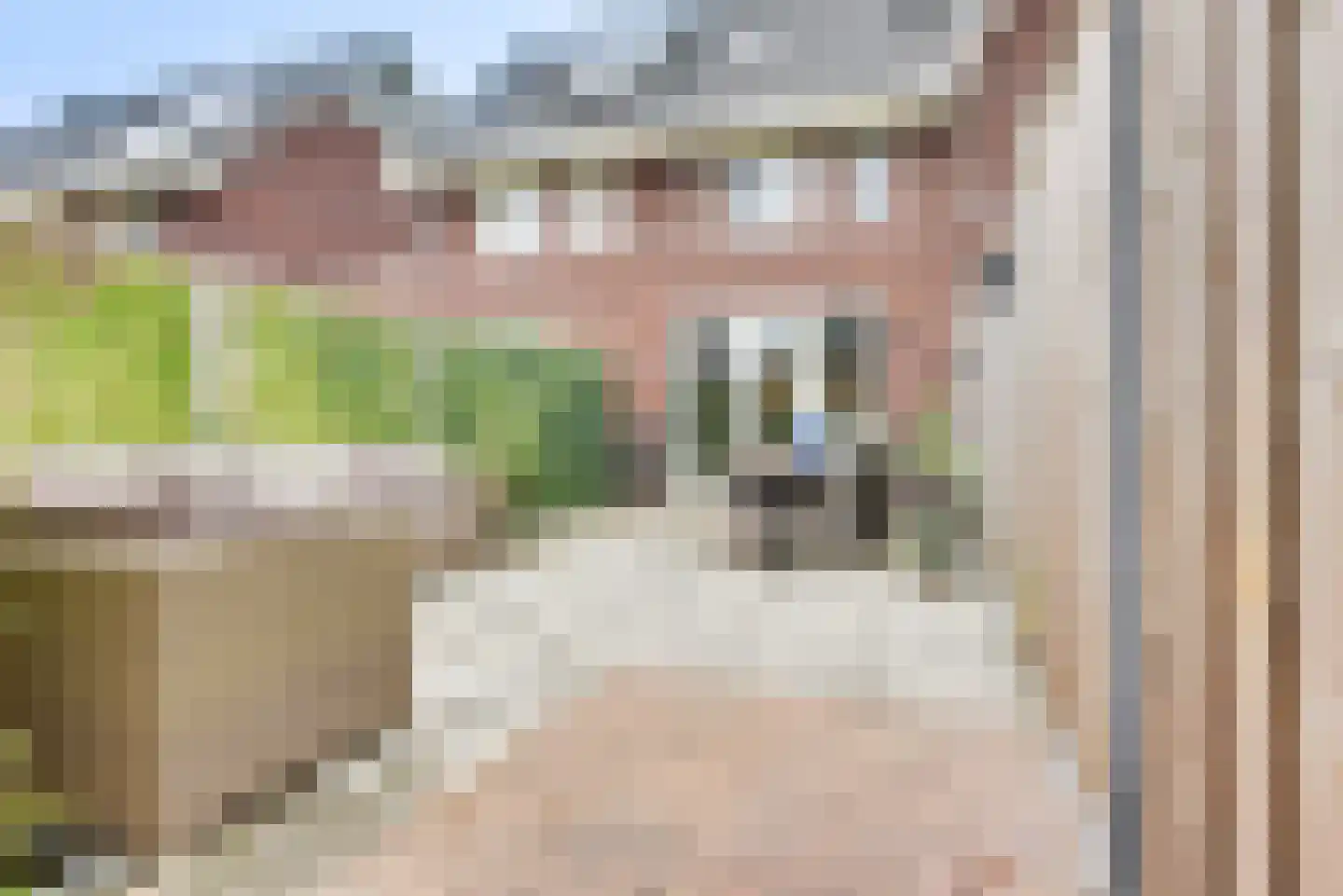 Kan-Kan 3 Haarsteeg thumbnail 14