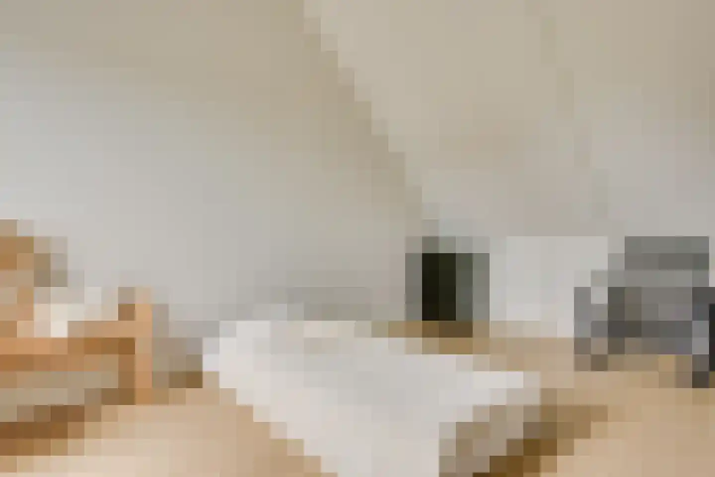 Kan-Kan 3 Haarsteeg thumbnail 26