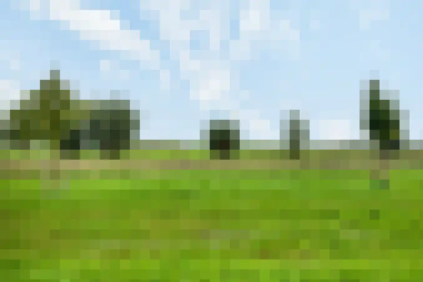 Kan-Kan 3 Haarsteeg thumbnail 29