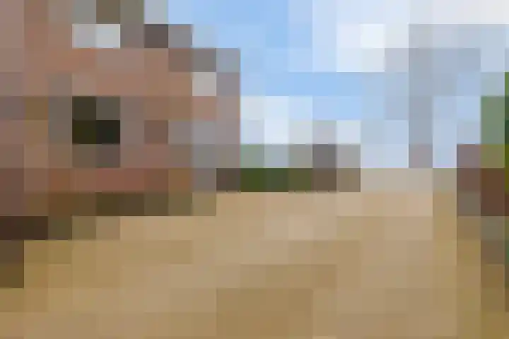 Kanaal A NZ 150 Emmer-Compascuum thumbnail 11