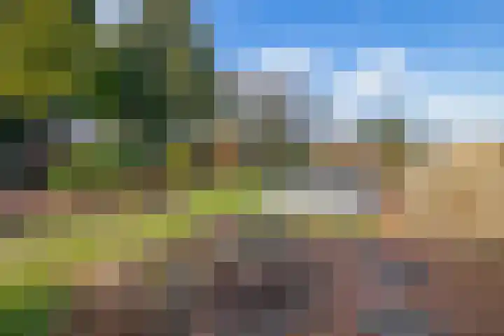 Kanaal A NZ 150 Emmer-Compascuum thumbnail 33
