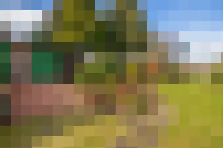Kanaal A NZ 150 Emmer-Compascuum thumbnail 34