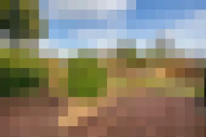Kanaal A NZ 150 Emmer-Compascuum thumbnail 37