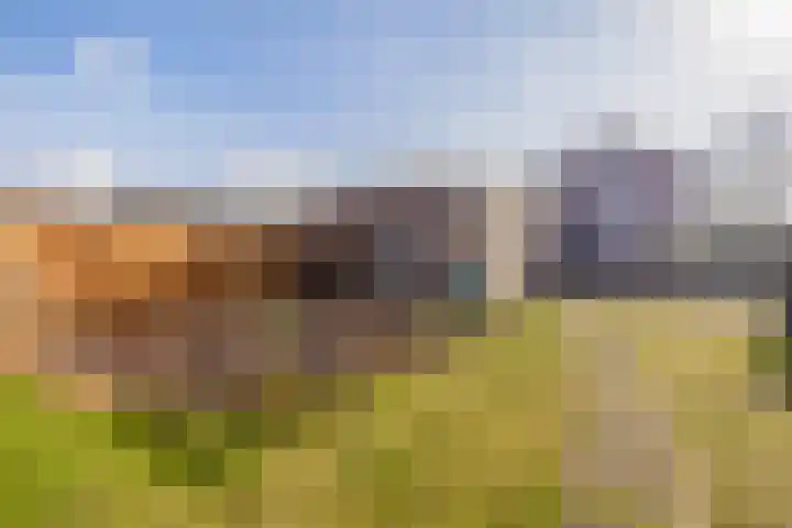 Kanaal A NZ 150 Emmer-Compascuum thumbnail 38