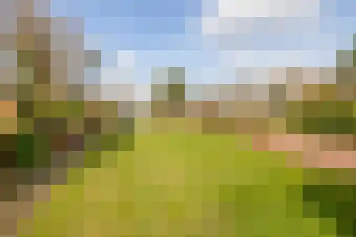 Kanaal A NZ 150 Emmer-Compascuum thumbnail 39