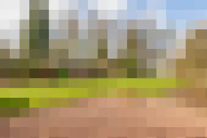 Kanaal A NZ 150 Emmer-Compascuum thumbnail 40